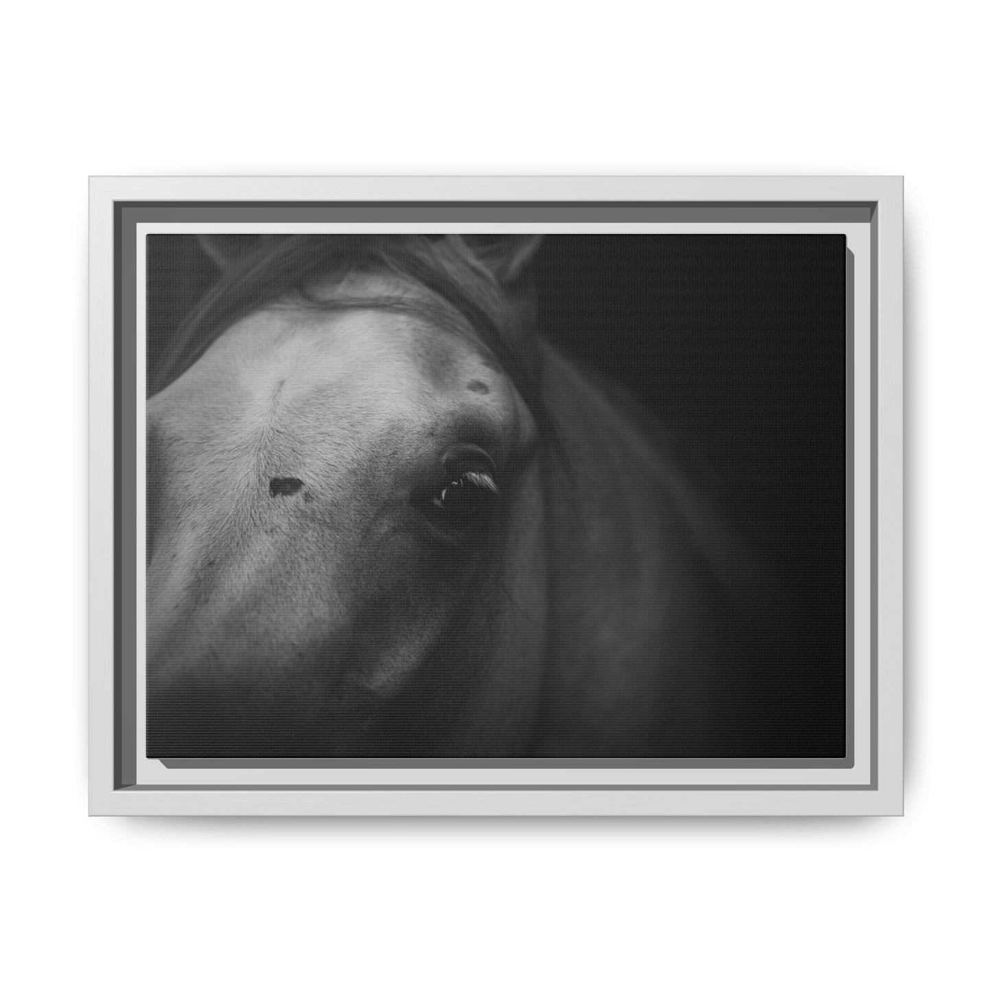 Framed Fine Art Photography of an Arabian Horse