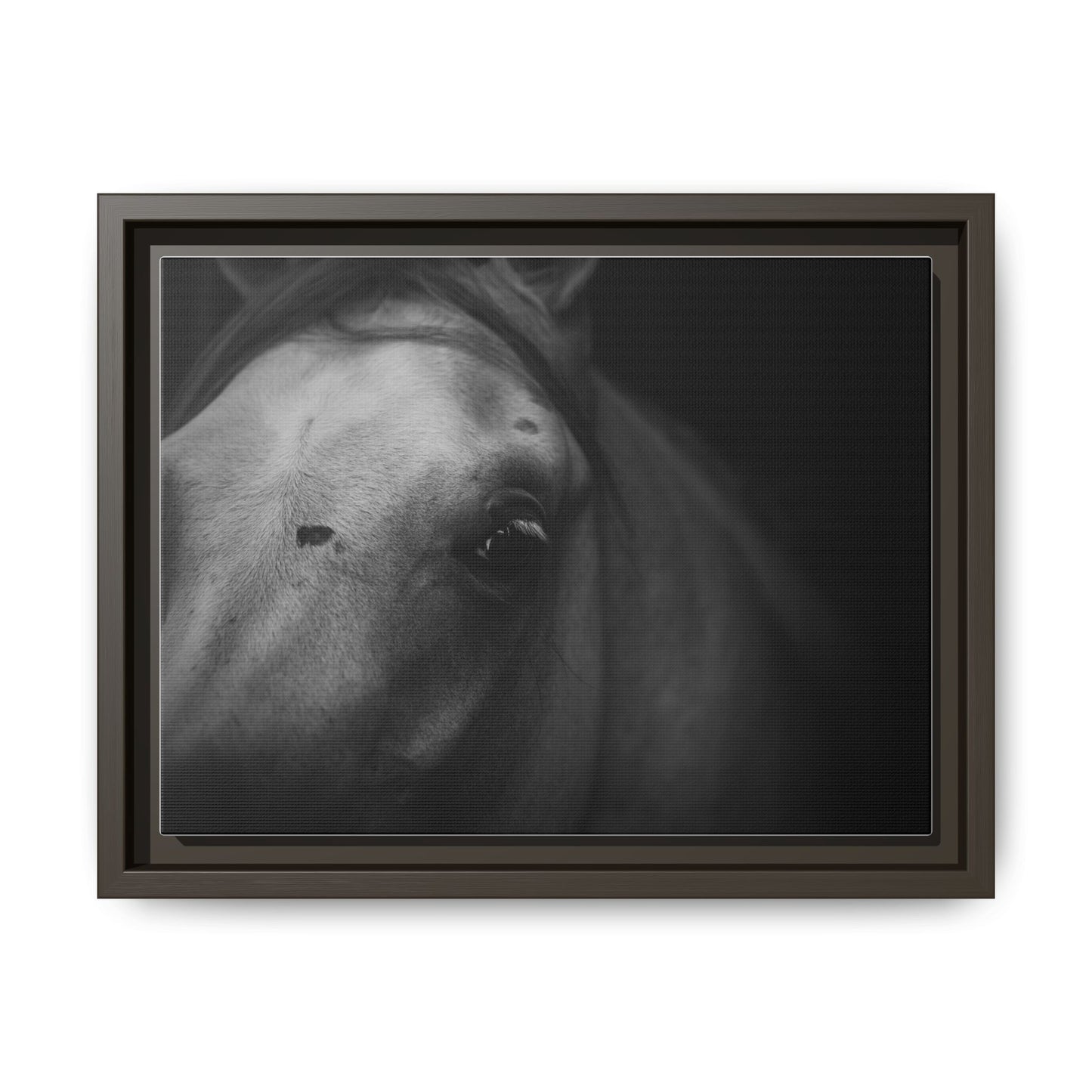 Framed Fine Art Photography of an Arabian Horse
