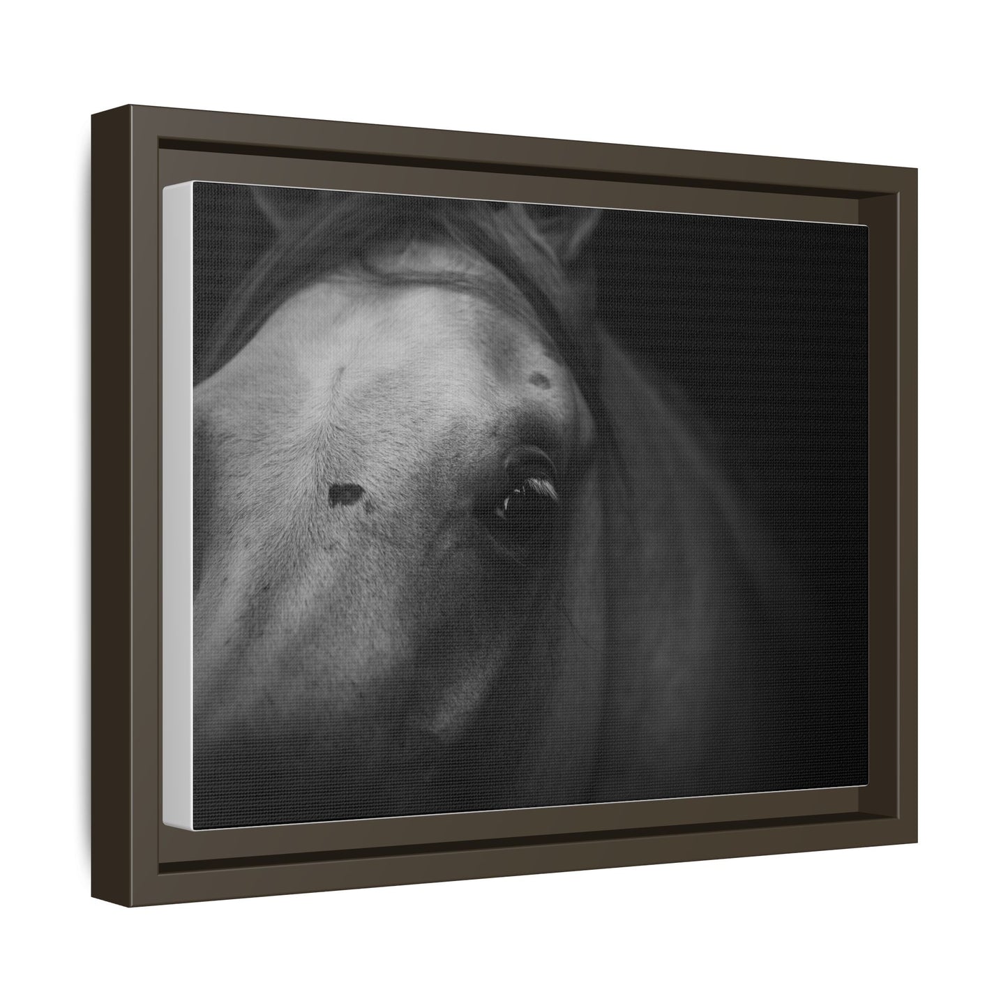 Framed Fine Art Photography of an Arabian Horse
