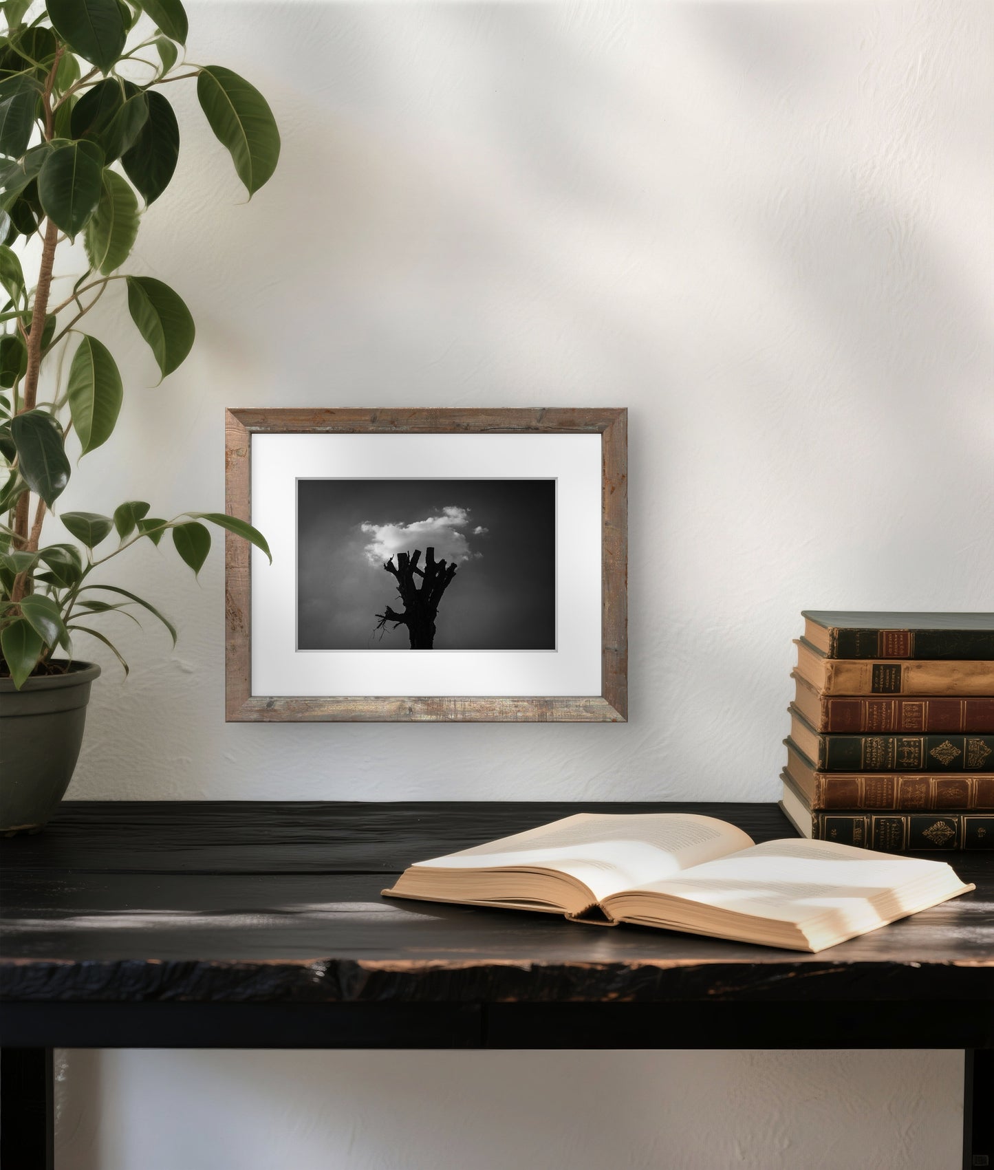 Rebirth - Nature, Black & White Fine Art Download