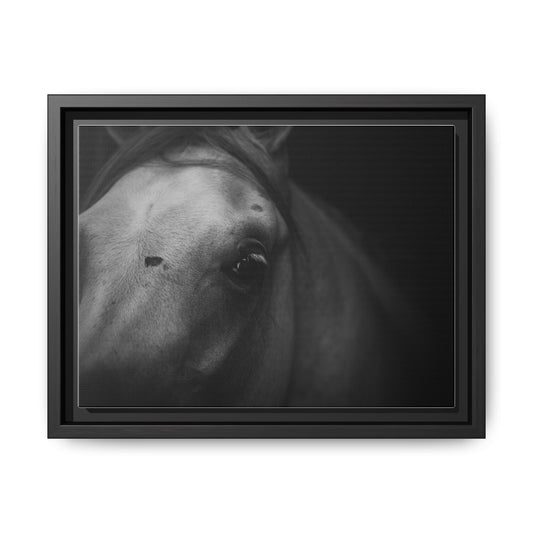Framed Fine Art Photography of an Arabian Horse
