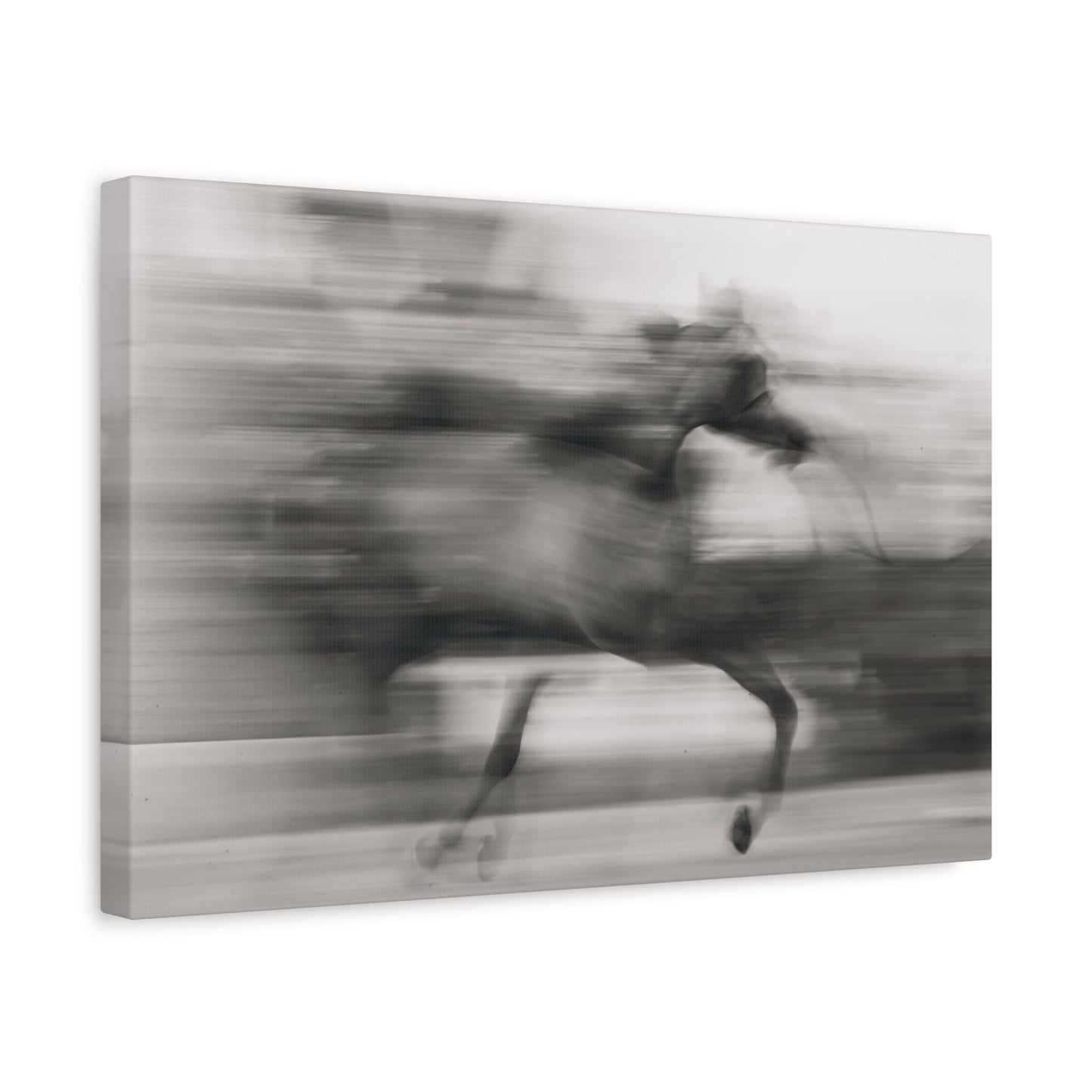 Abstract Horse on Canvas