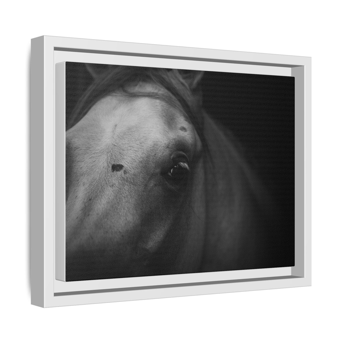 Framed Fine Art Photography of an Arabian Horse