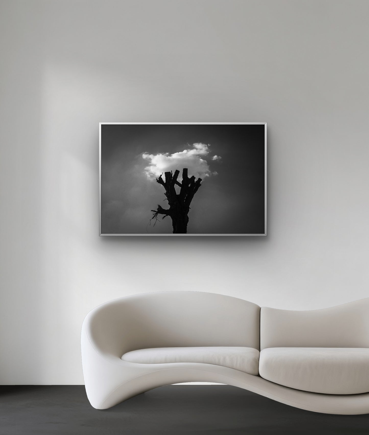 Rebirth - Nature, Black & White Fine Art Download