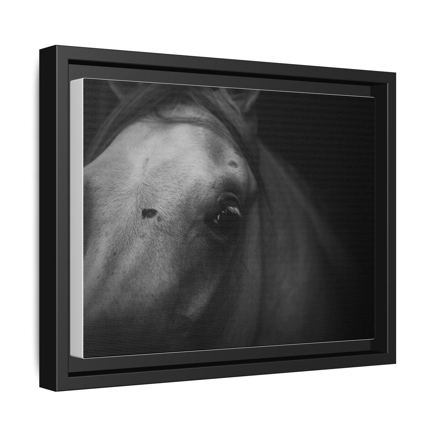 Framed Fine Art Photography of an Arabian Horse