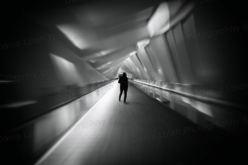 Twisted bridge - Black & White Fine Art Download