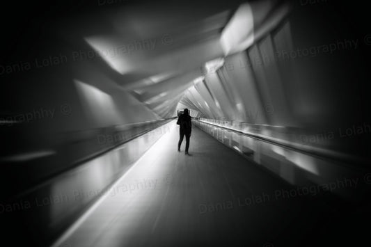 Twisted bridge - Black & White Fine Art Download