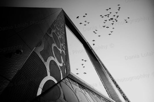 Framing Life - Dubai frame,  Black & White Fine Art Download